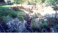 Wooden bridge and stairway into the chasm at the Natural Bridge Memorial