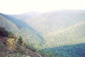 View from Stoney Ledge near the state campgrounds on Mt. Greylock