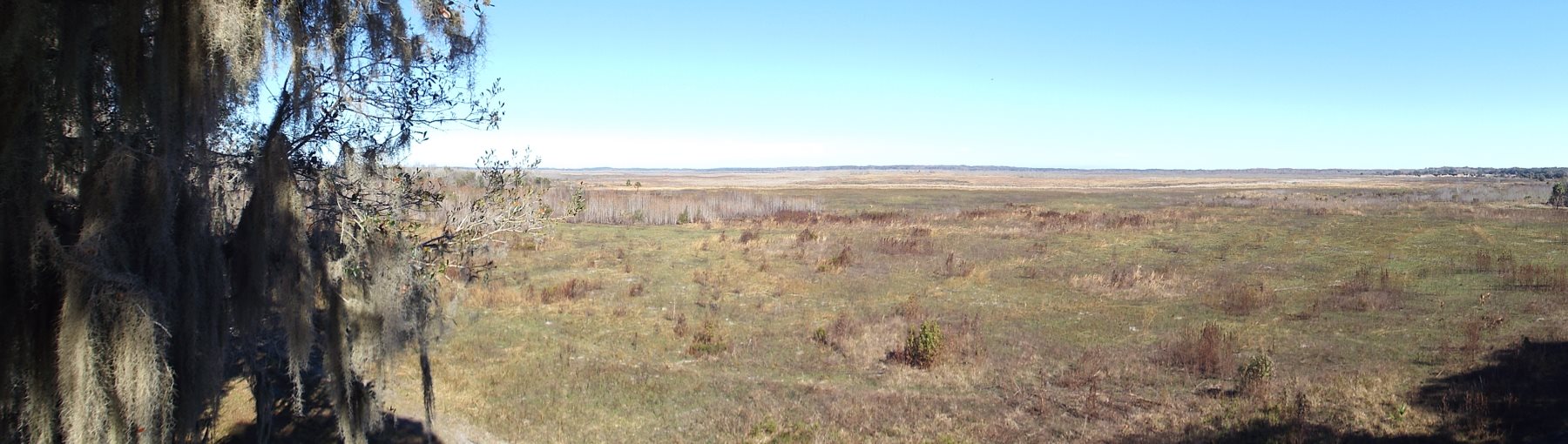 Paynes Prairie Preserve: Day One