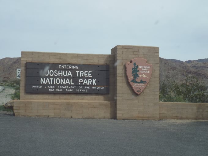 Road Trip: Joshua Tree National Park